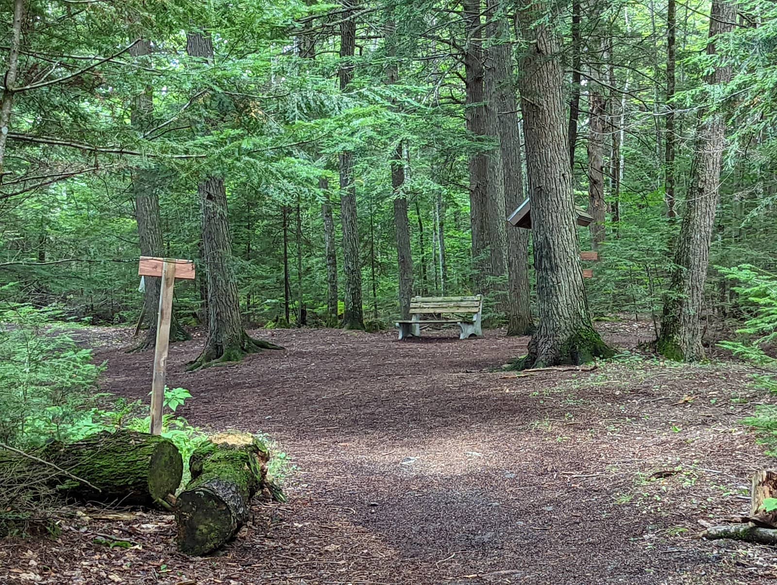 Peaceful Walking Trails