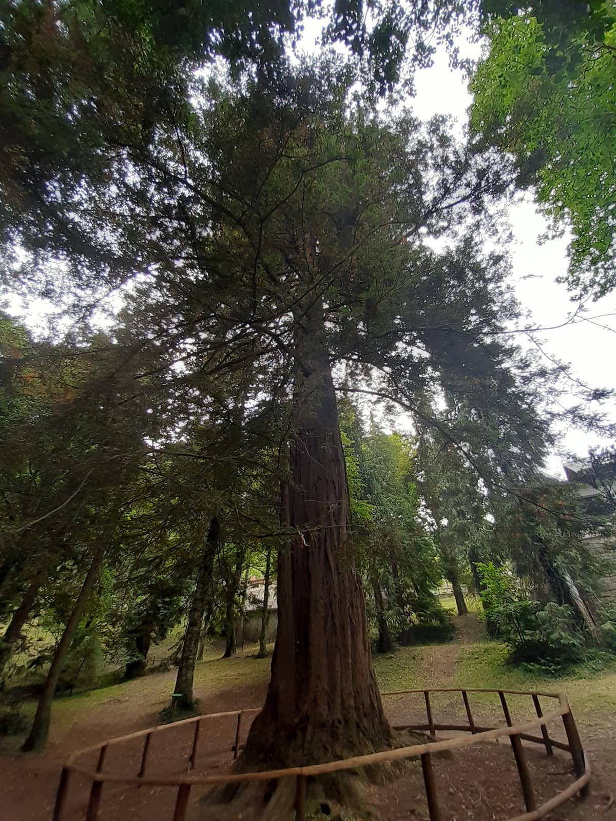 Photography Exhibition