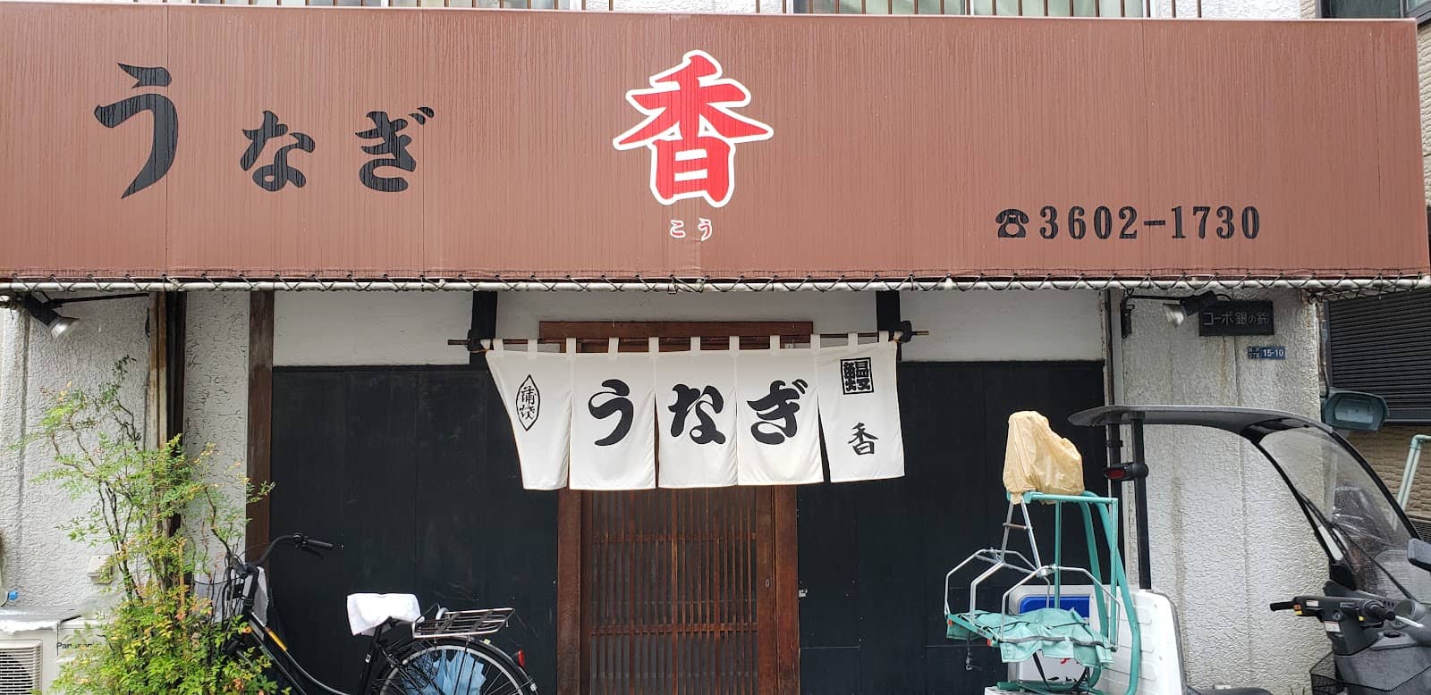 Artistic Expressions