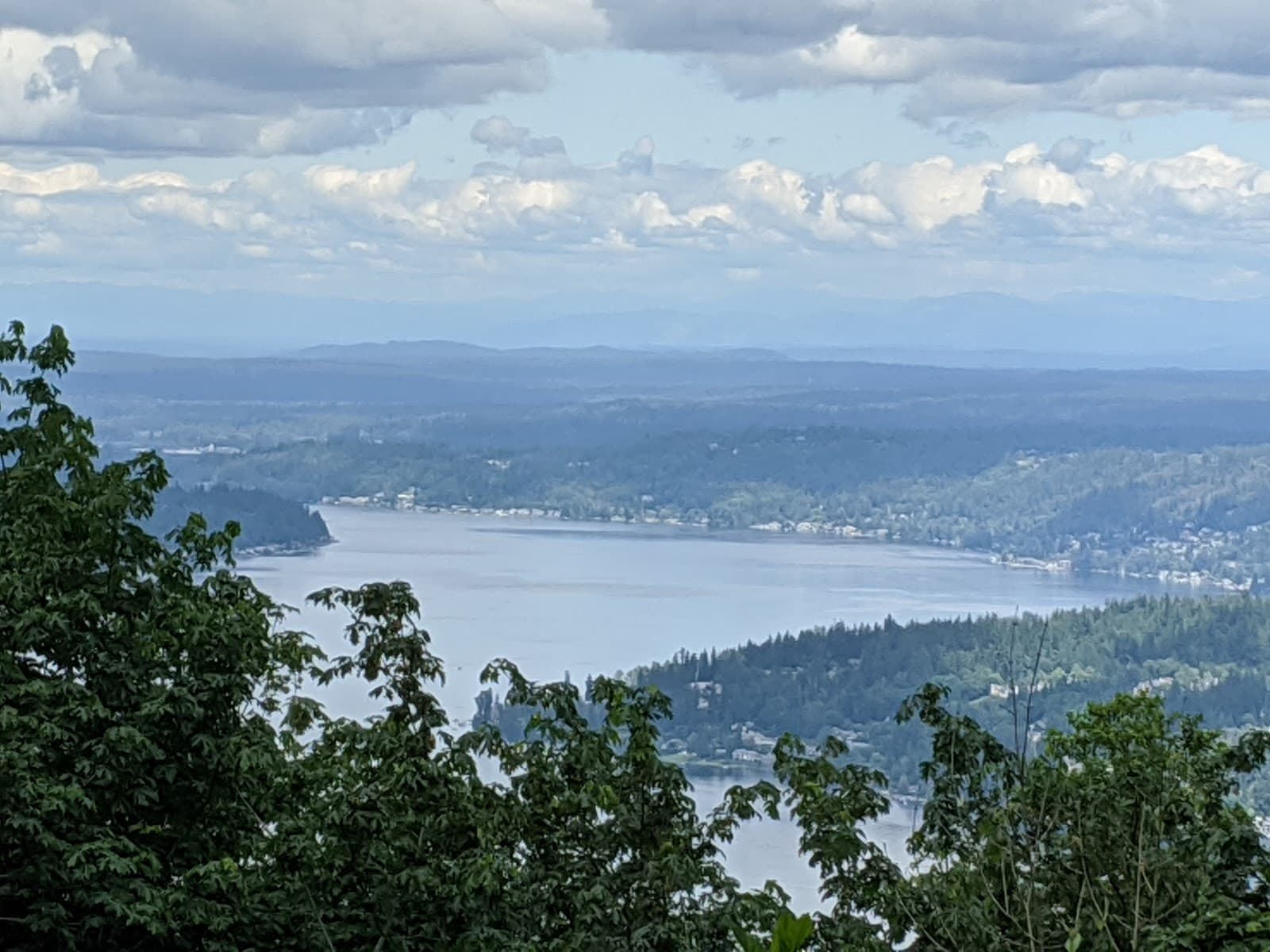 Cougar Mountain Regional Wildland Park - Image 1