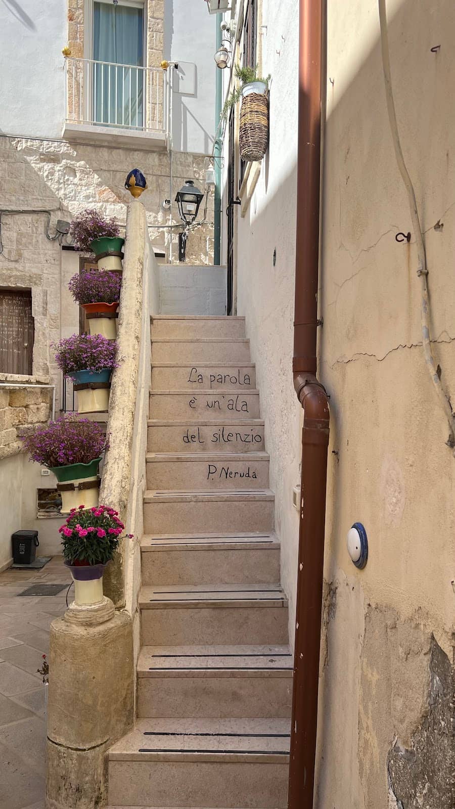 Vertical photo
