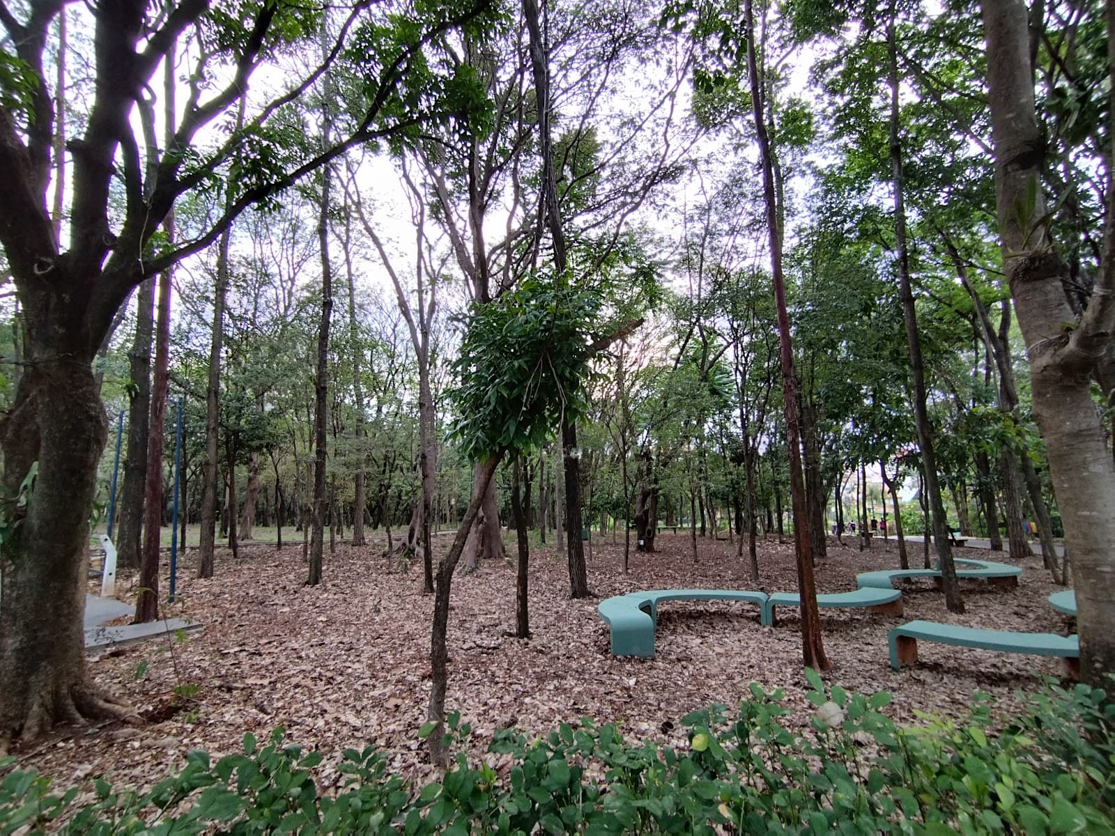 Jardim Botânico de Americana - Image 1