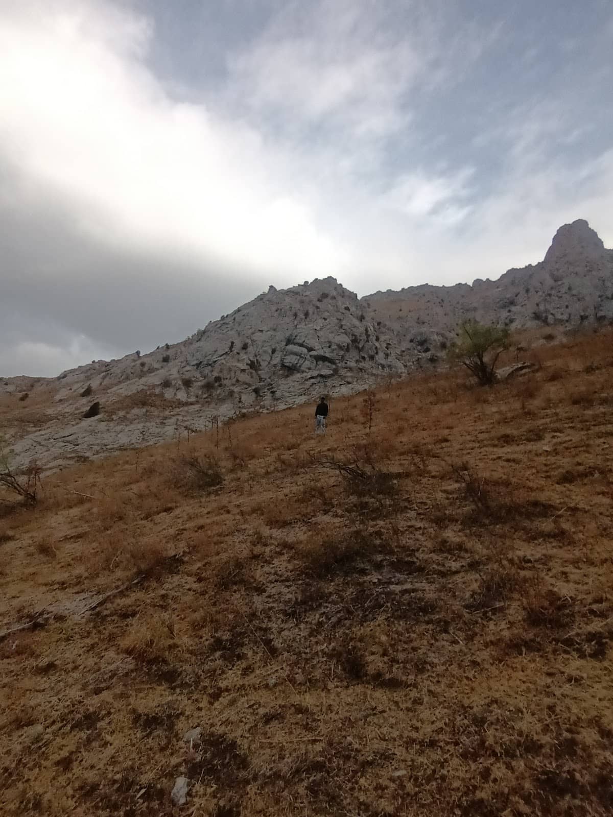 Vertical photo