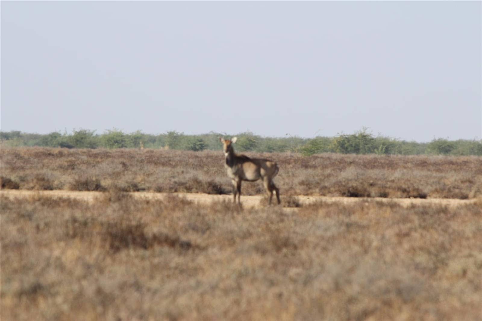 Chari-Dhand Lake