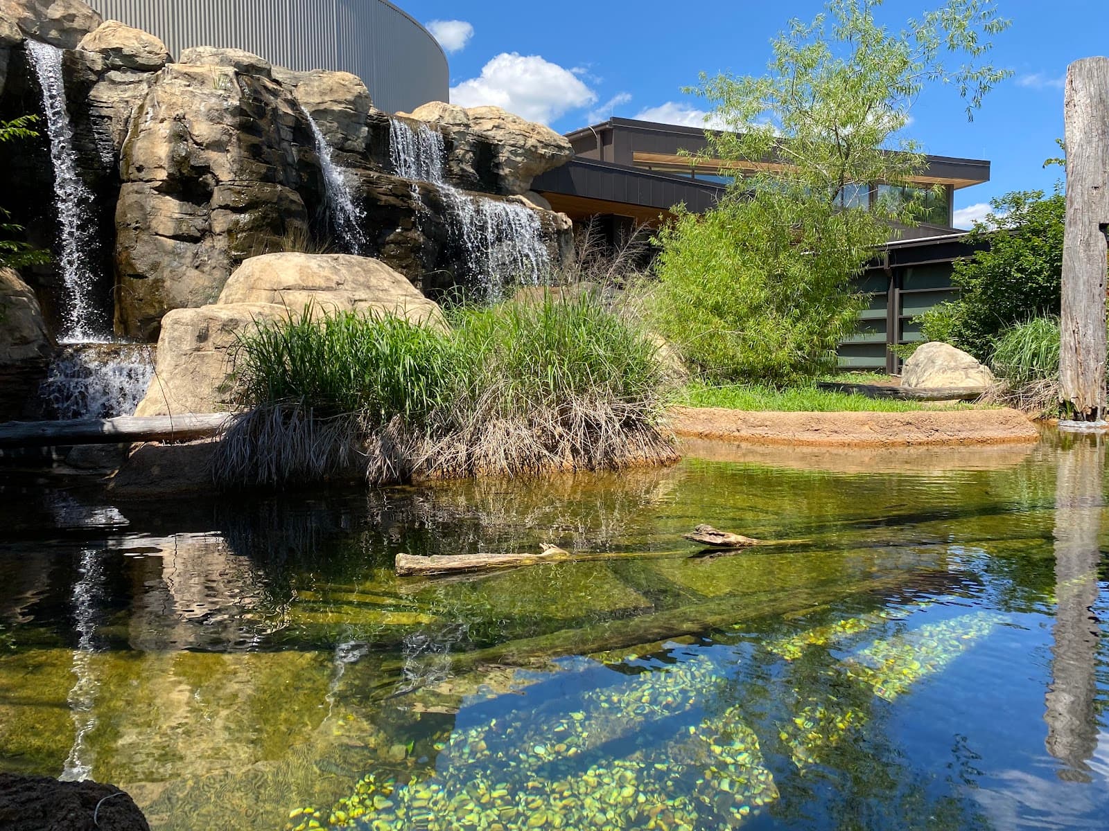 Go Fish Education Center - Image 1