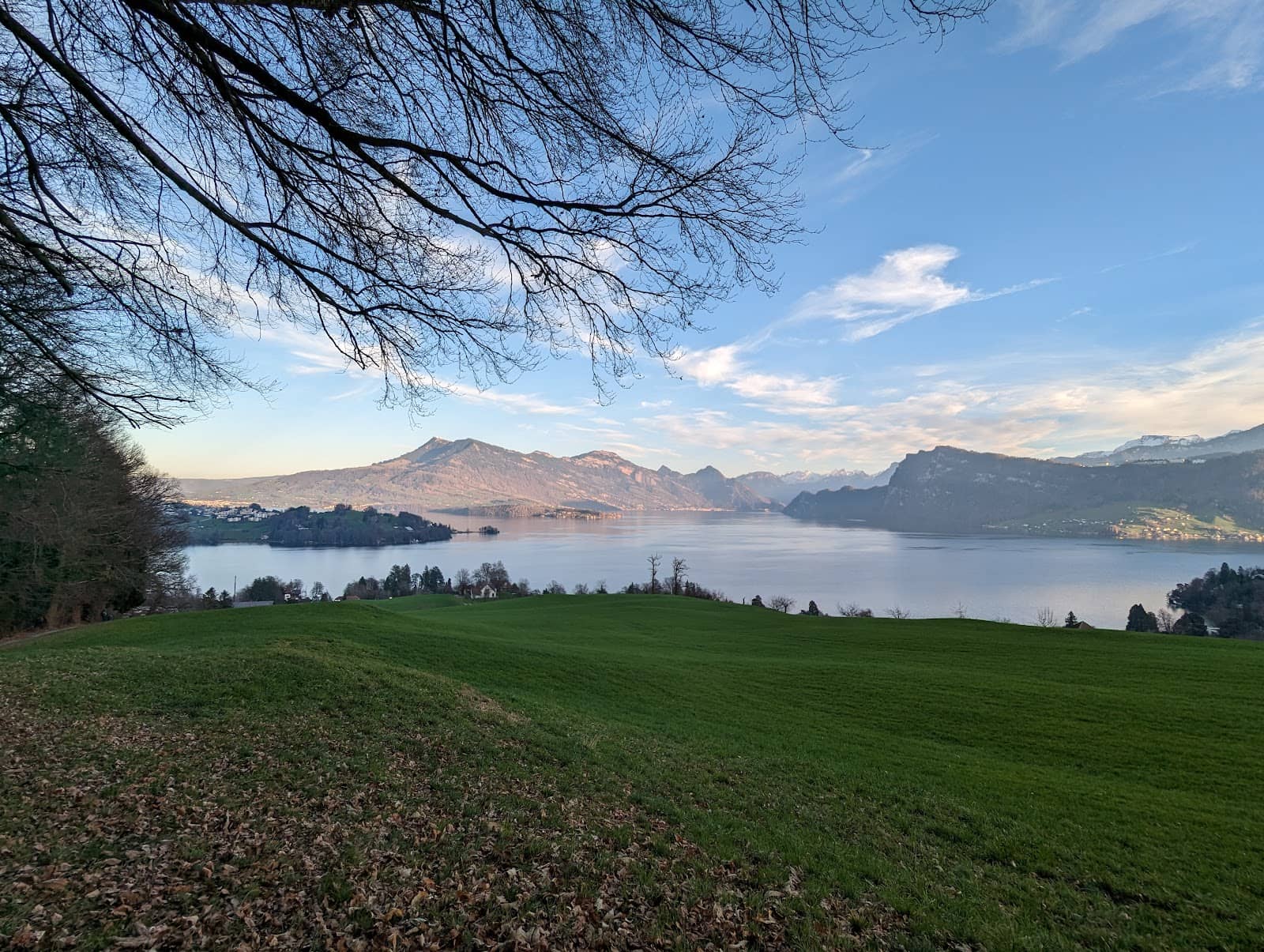 Woodchip Running Trails