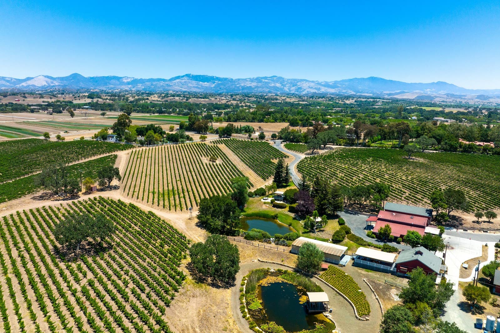 Beckmen Vineyards - Image 1