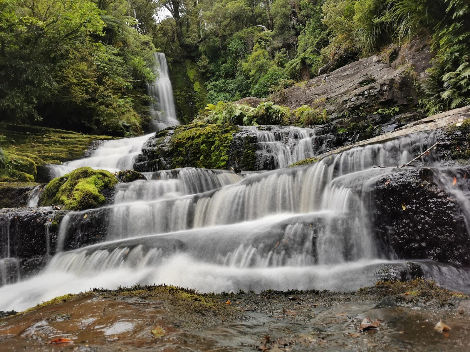 Catlins Forest Park - Image 1