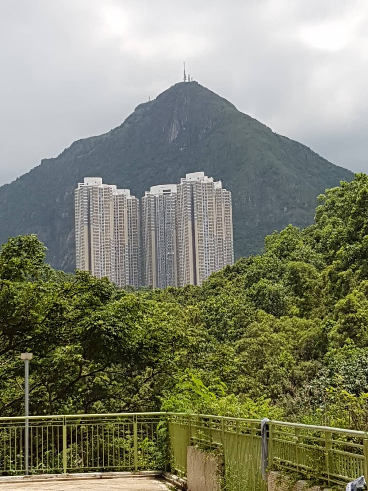 Vertical photo