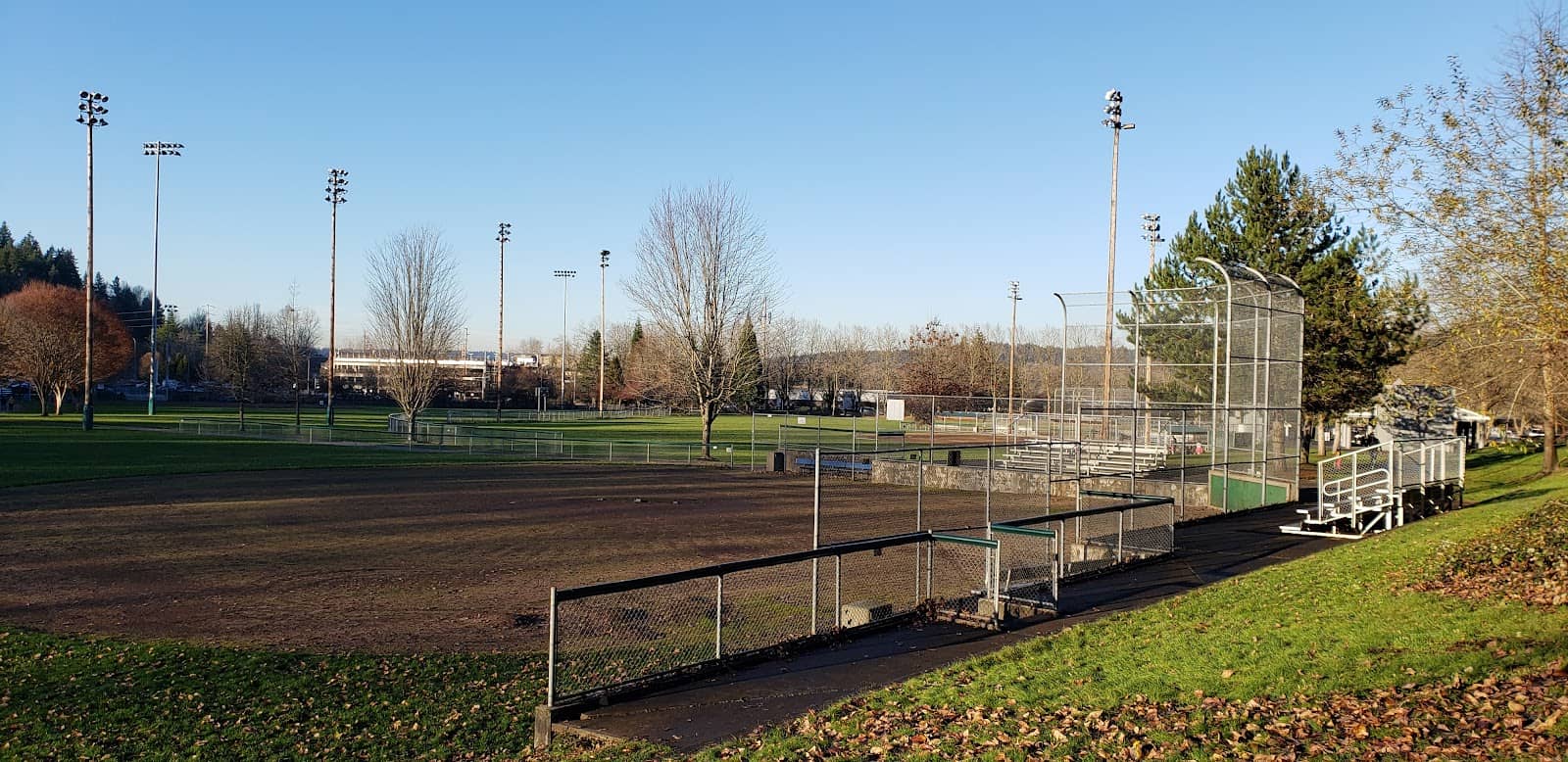 Sports Fields Galore
