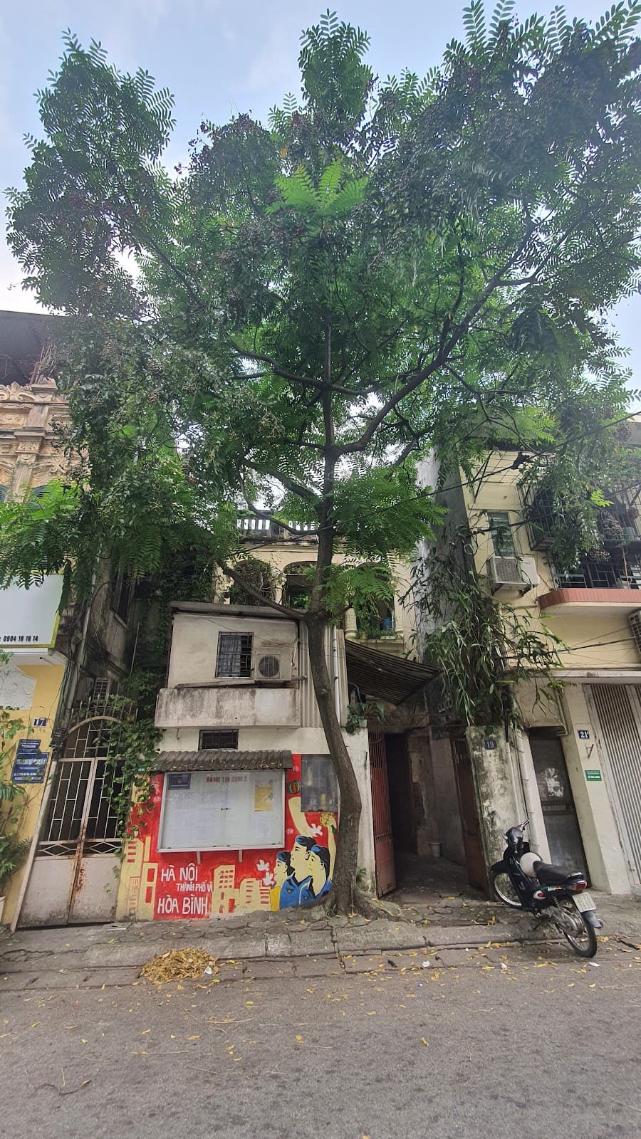 Phan Huy Ich Street - Image 1