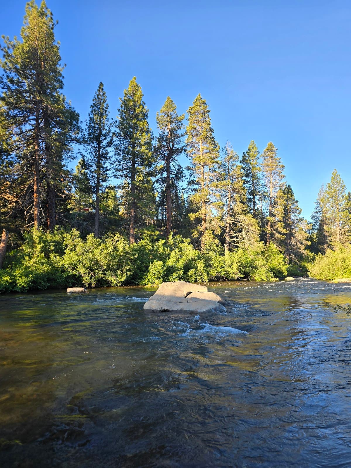Truckee River Bridge (Bridge St) - Image 1