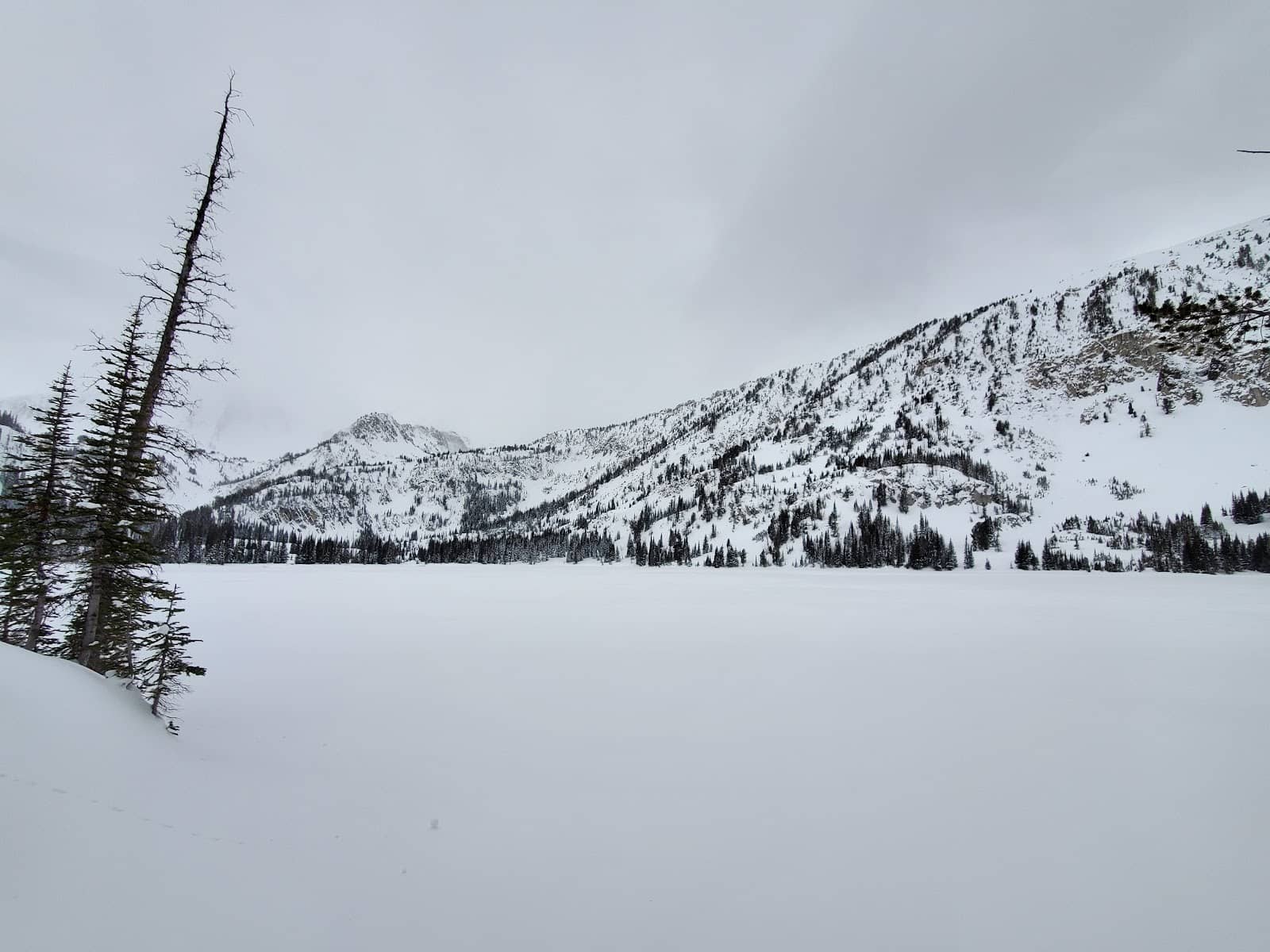 Wildflowers by the Lakeshore
