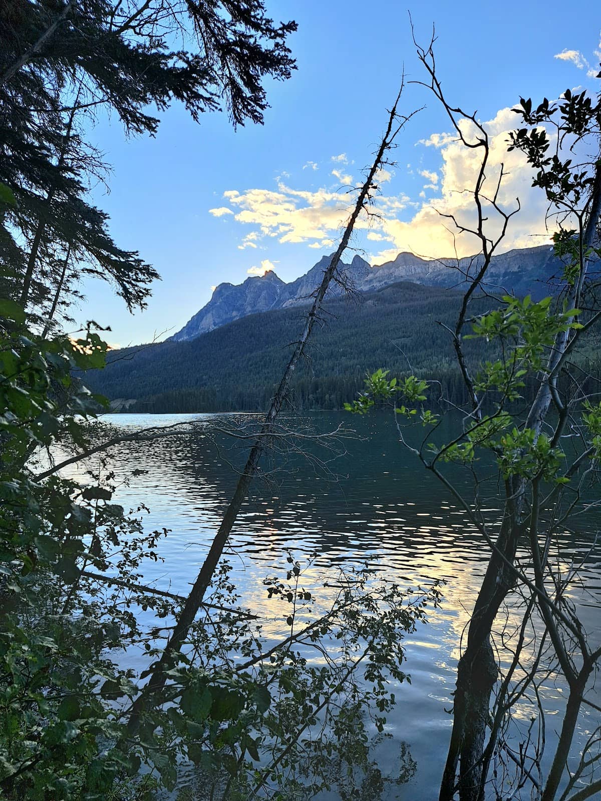 Vertical photo