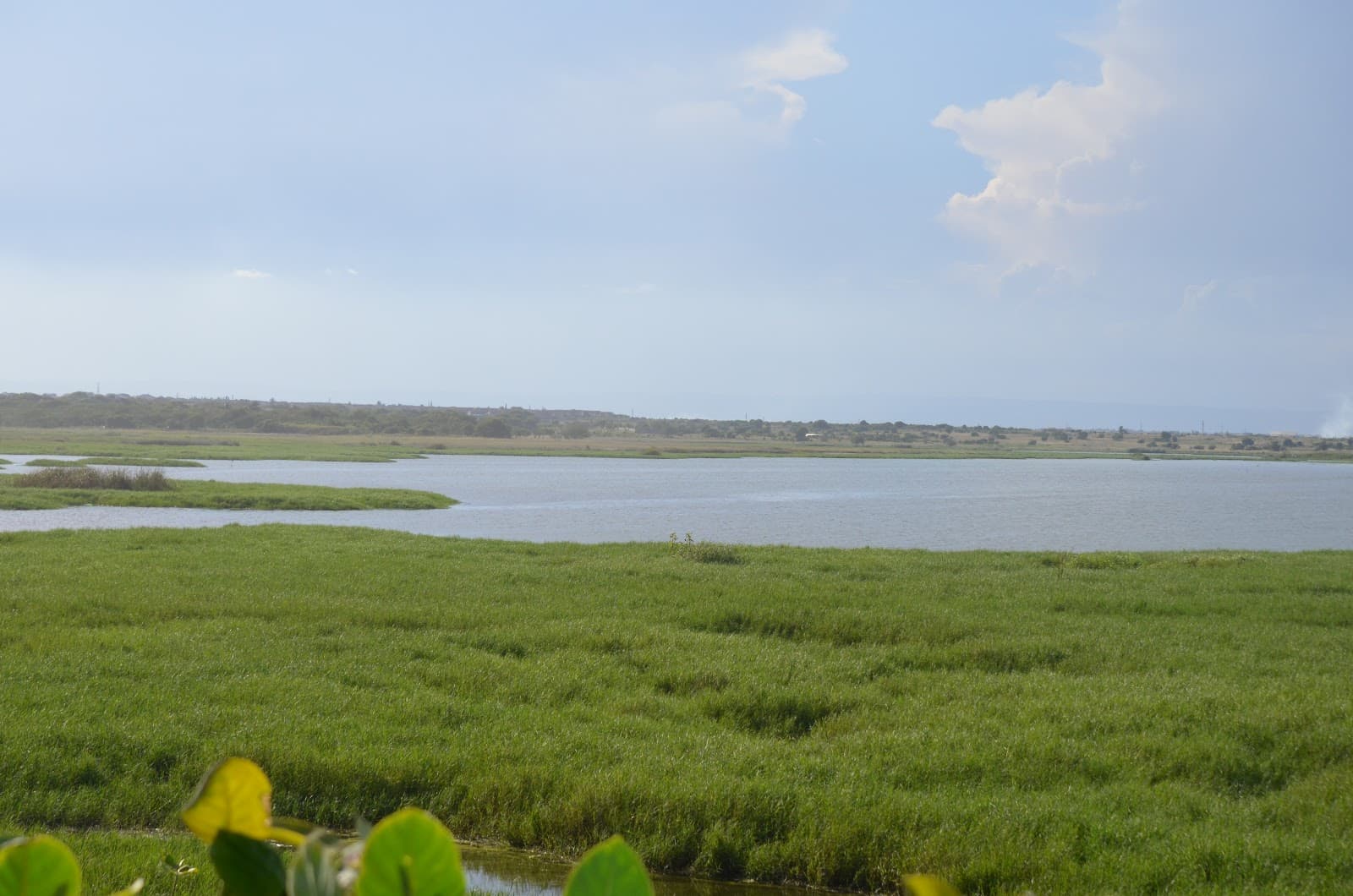 Sakumo Lagoon Ramsar Site - Image 1