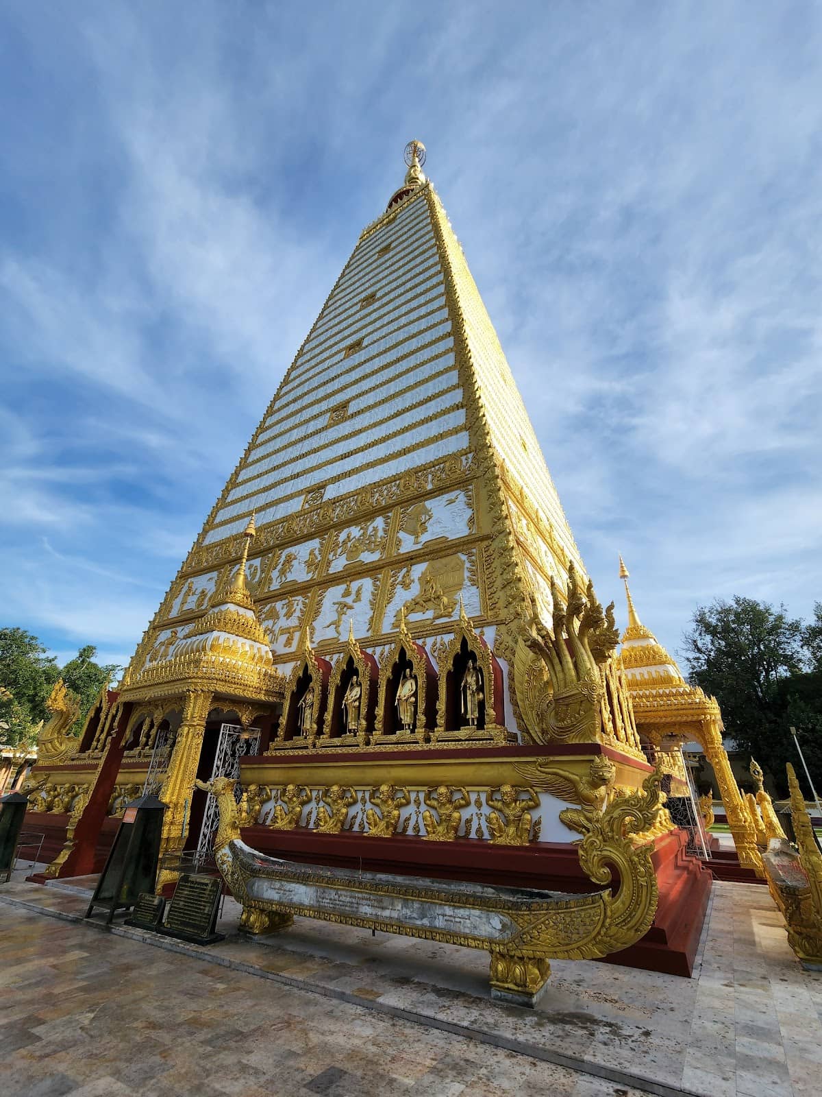 Evening Aerobics & Activity