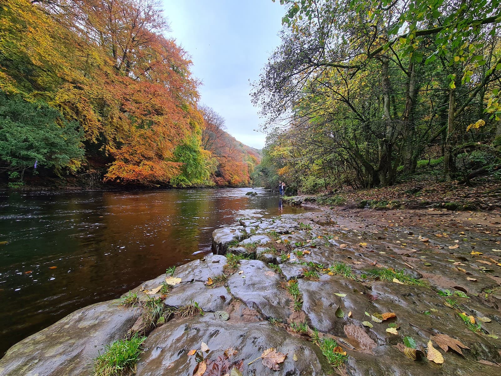 Upper Wharfedale National Trust - Image 1