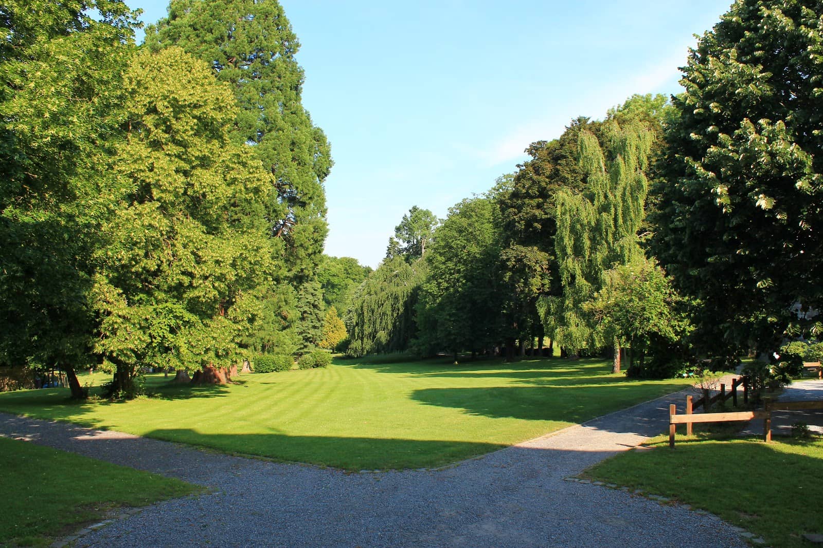 Dog-Friendly Retreat