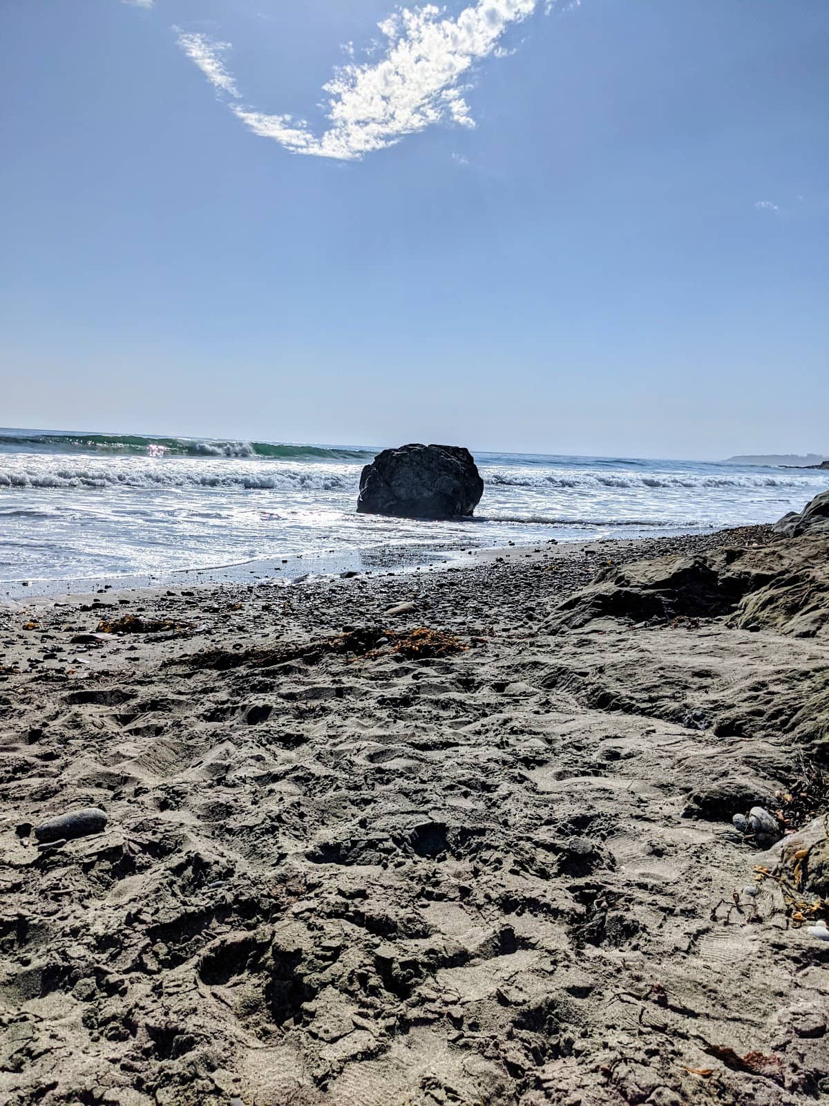 Elephant Seal Vista Point