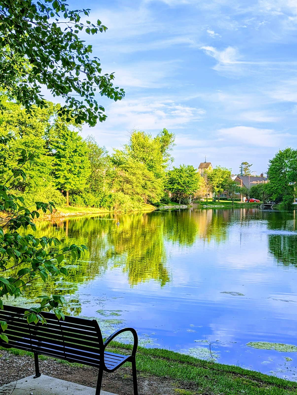 Tranquil Walking Path