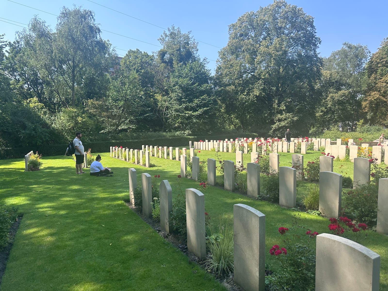 Cemetery of Distinguished Wielkopolans Poznań - Image 1