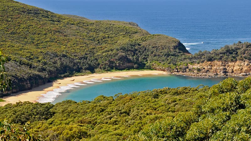 Bouddi National Park - Image 1