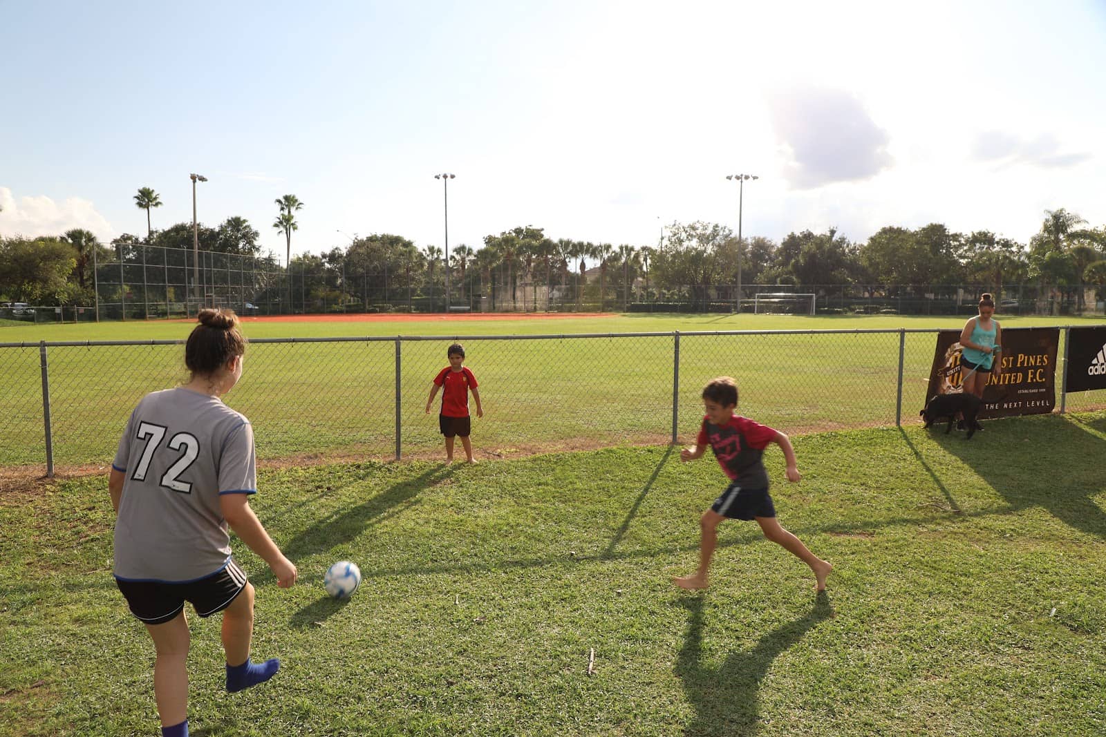 Scenic Walking Paths