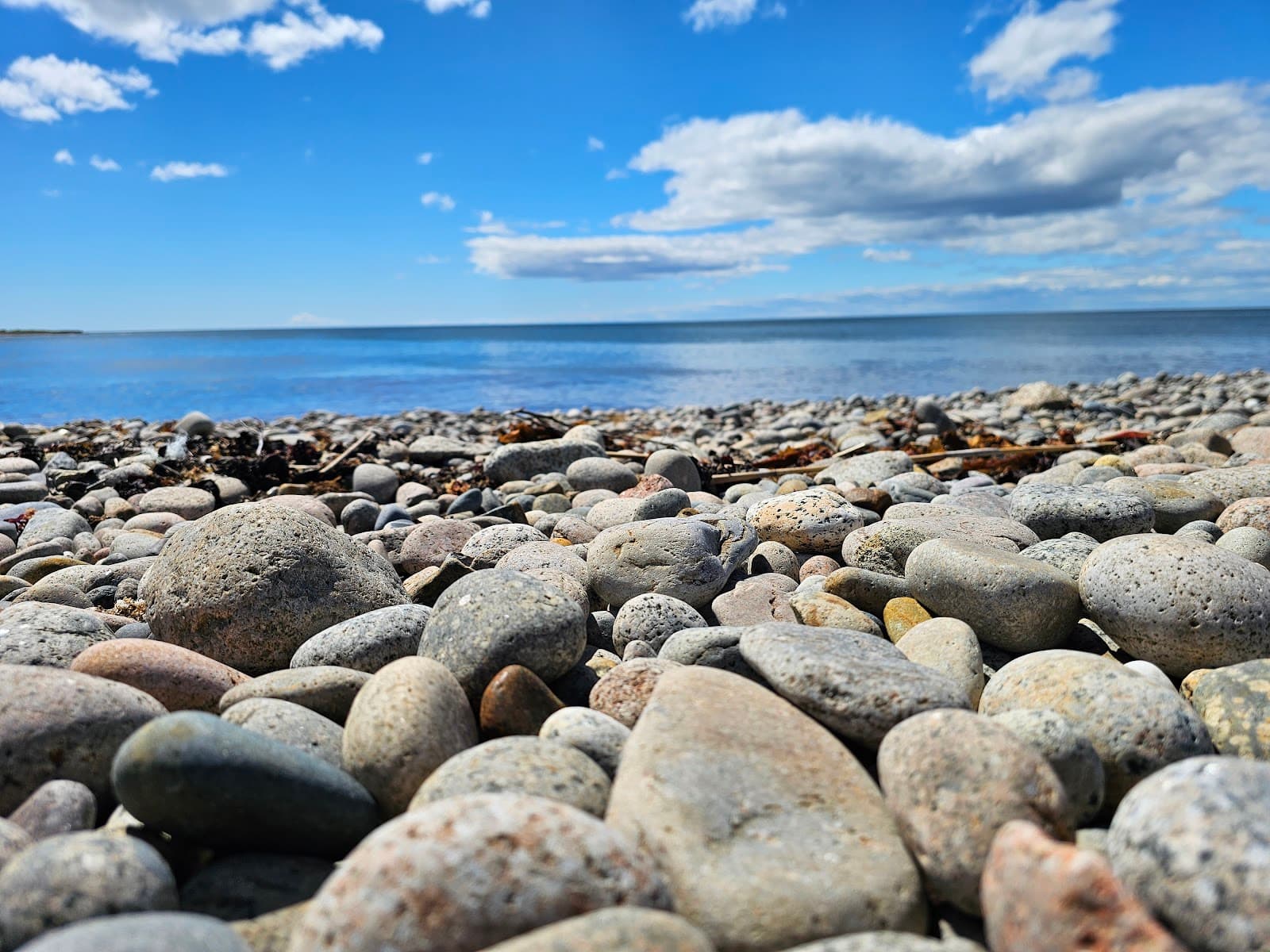 Pebble Beach - Image 1