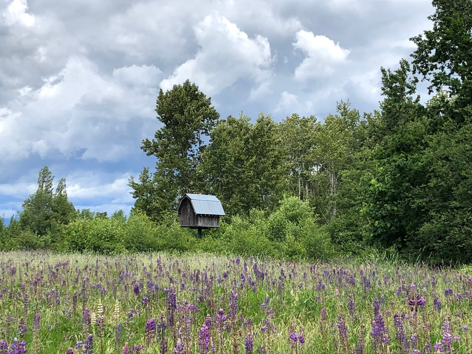 Elgin Heritage Park - Image 1