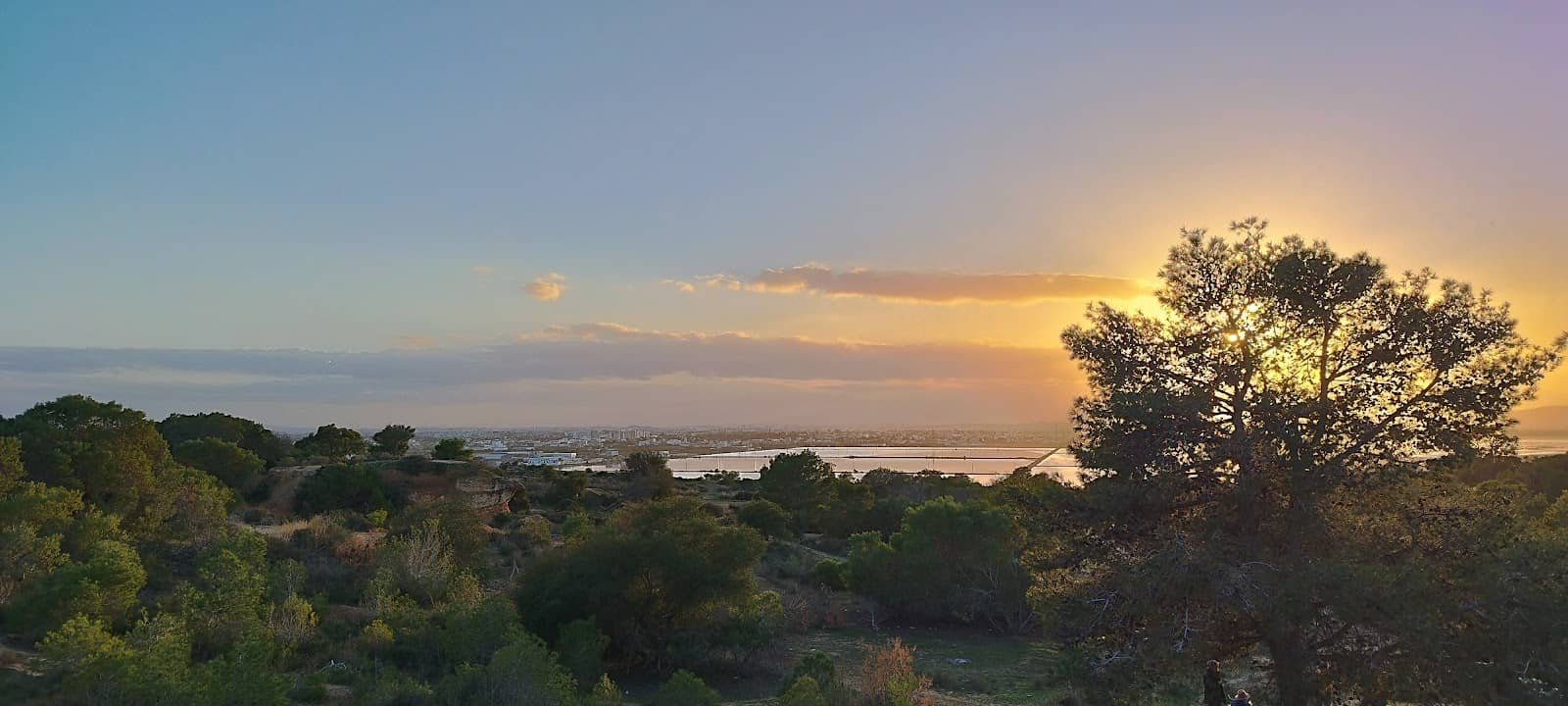 Panoramic Views