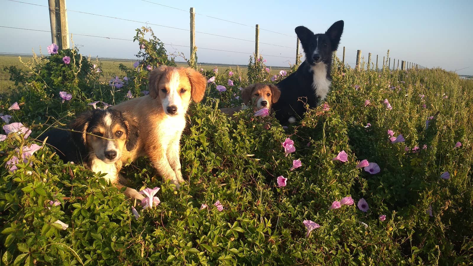 Unique Wetland Ecosystems