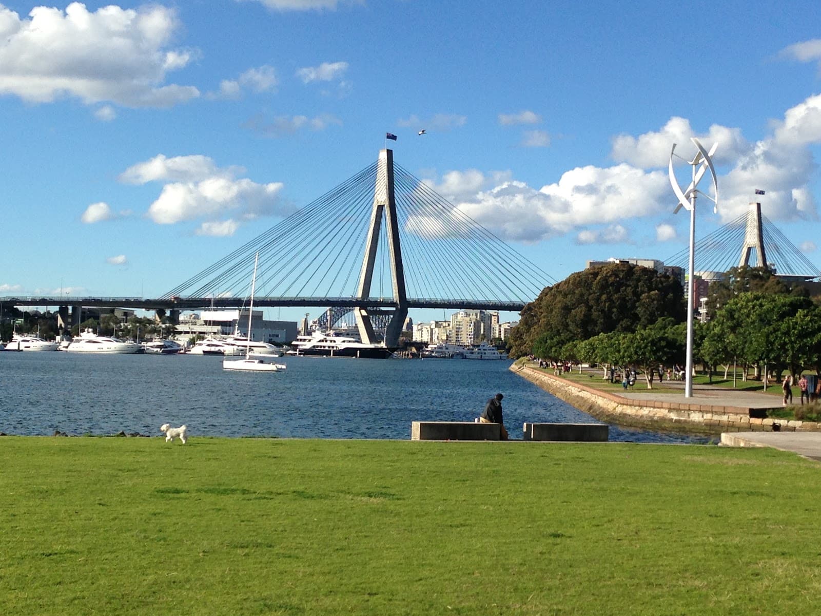 Glebe Foreshore - Image 1