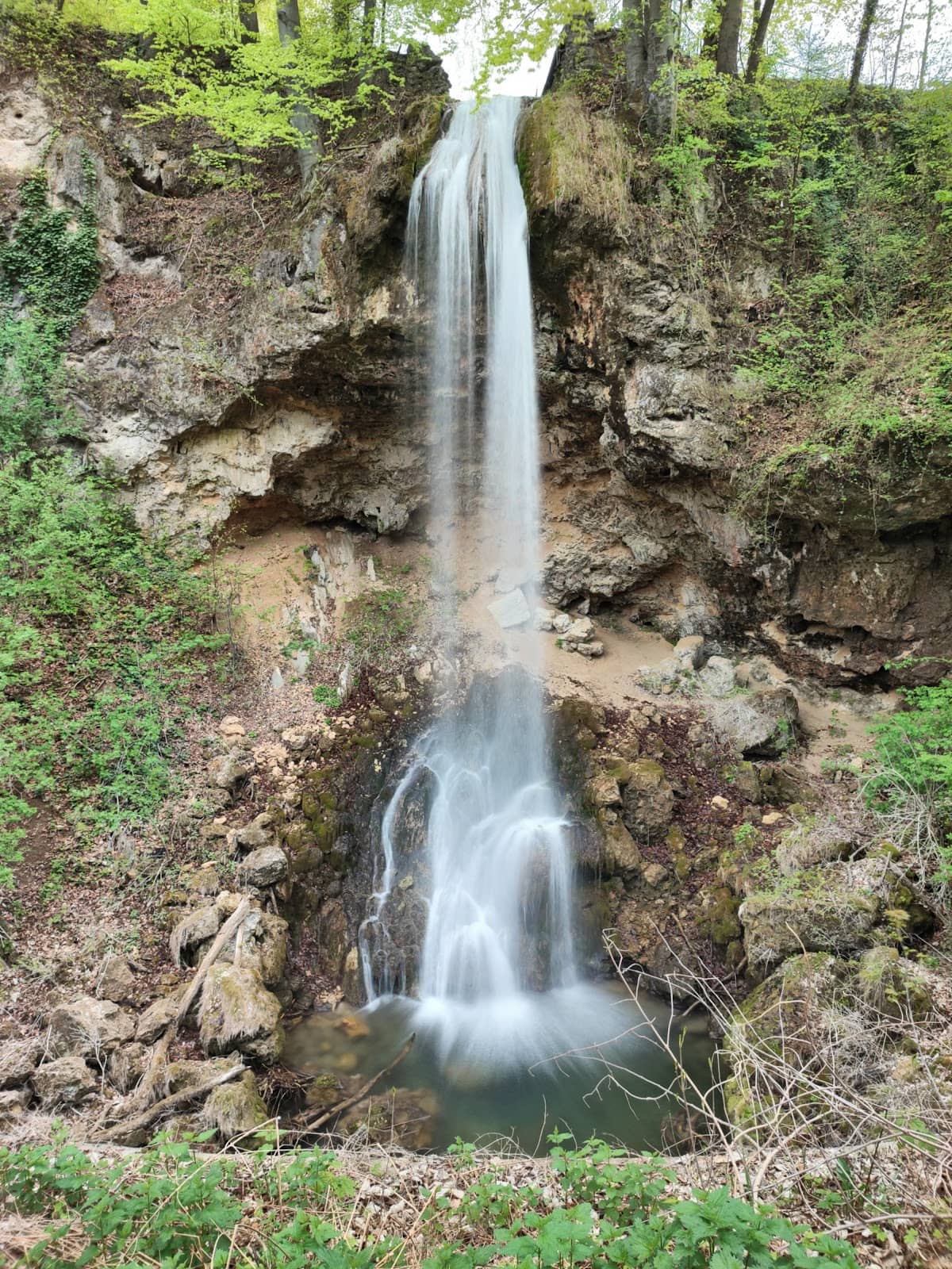 Vertical photo