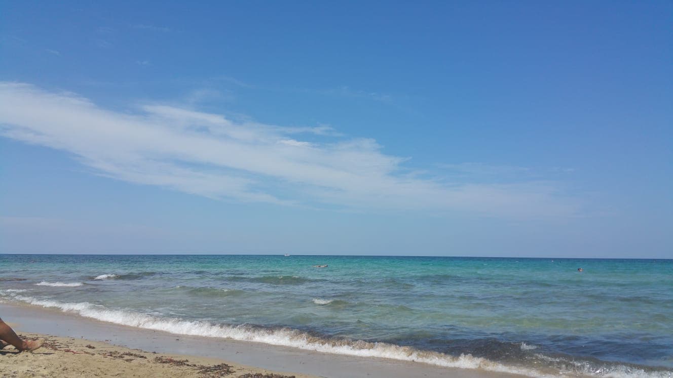 Rosa Marina - Image 1