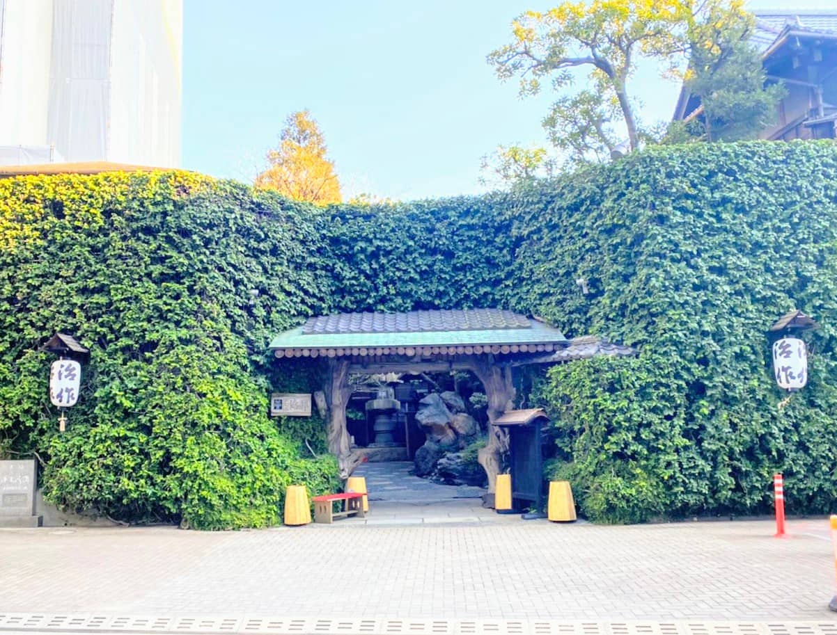Vertical photo