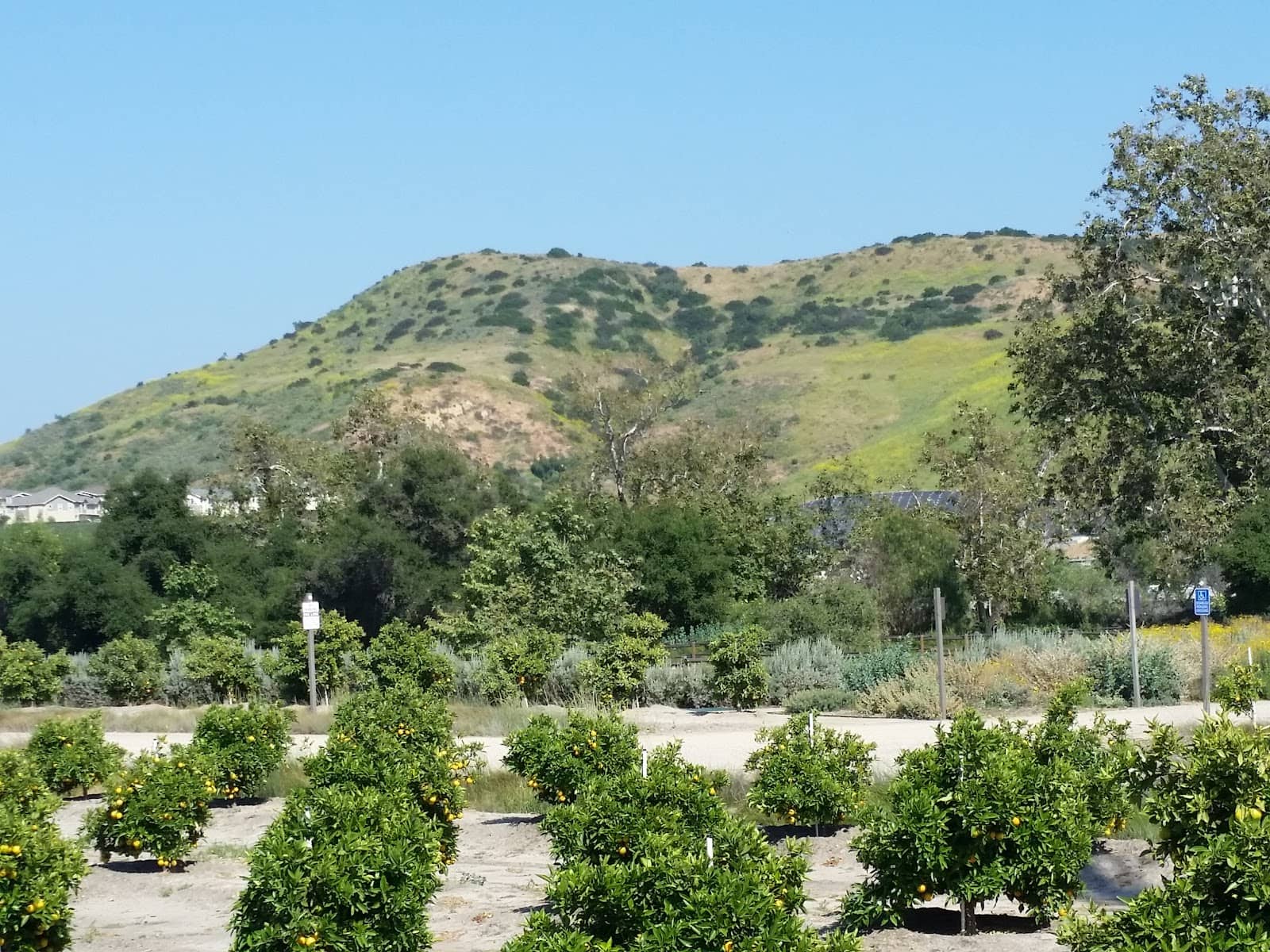 Event Venue Amenities