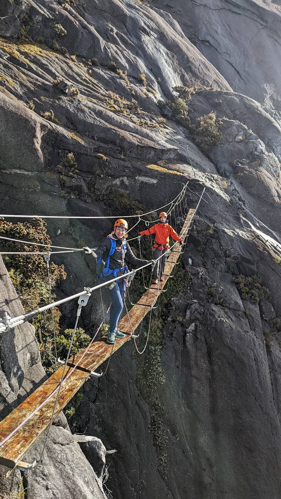 Vertical photo
