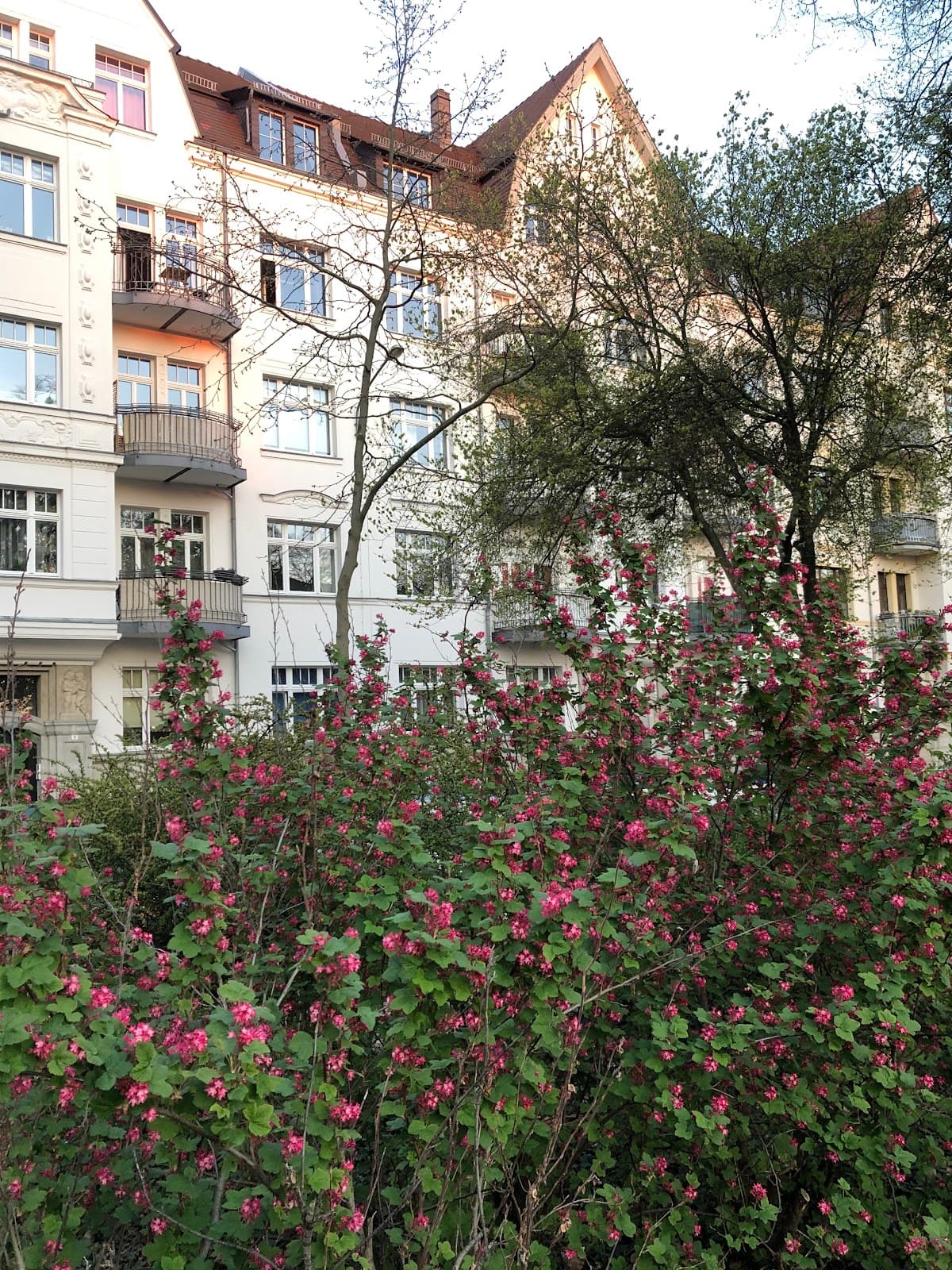 Gohlis Leipzig - Image 1