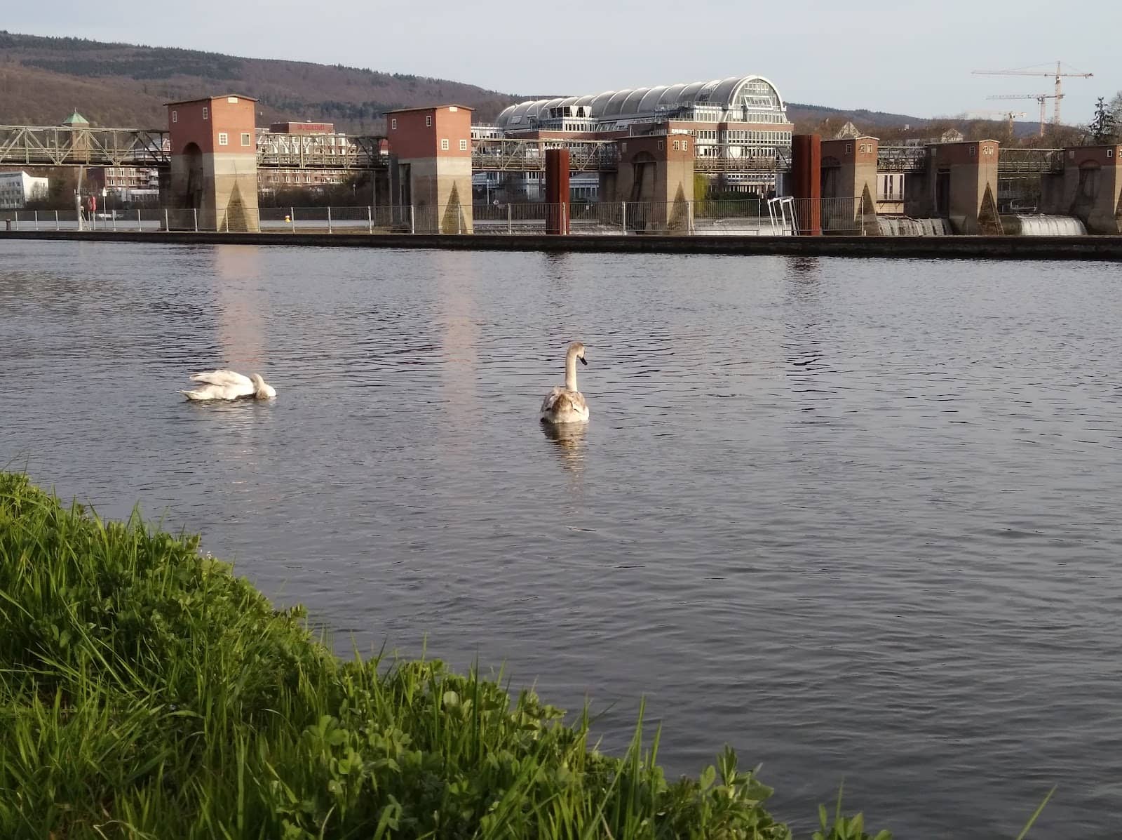 Historic Altbau Charm