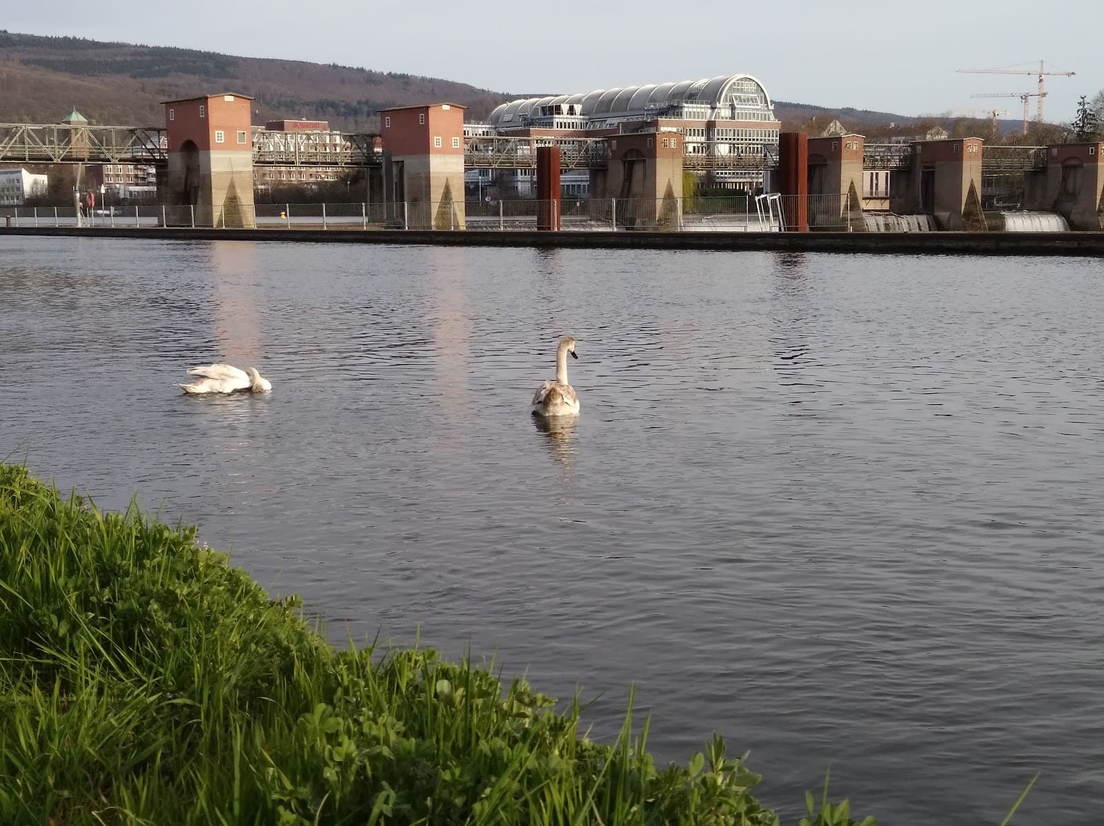 Neuenheim Heidelberg - Image 1