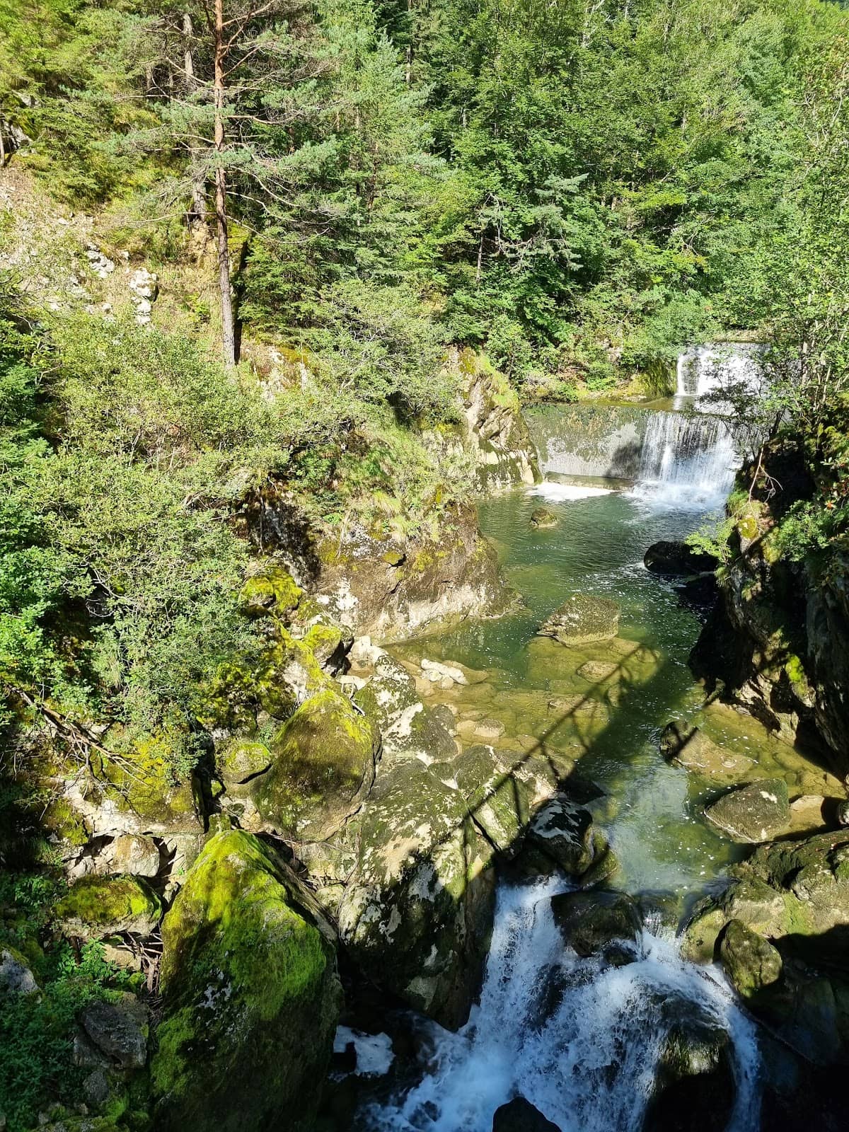 Vertical photo