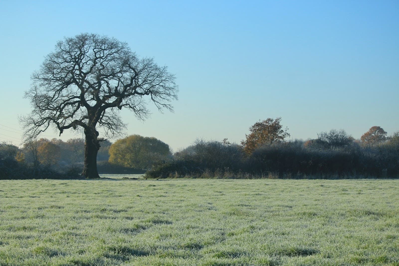 Tolworth Court Farm Fields Local Nature Reserve - Image 1