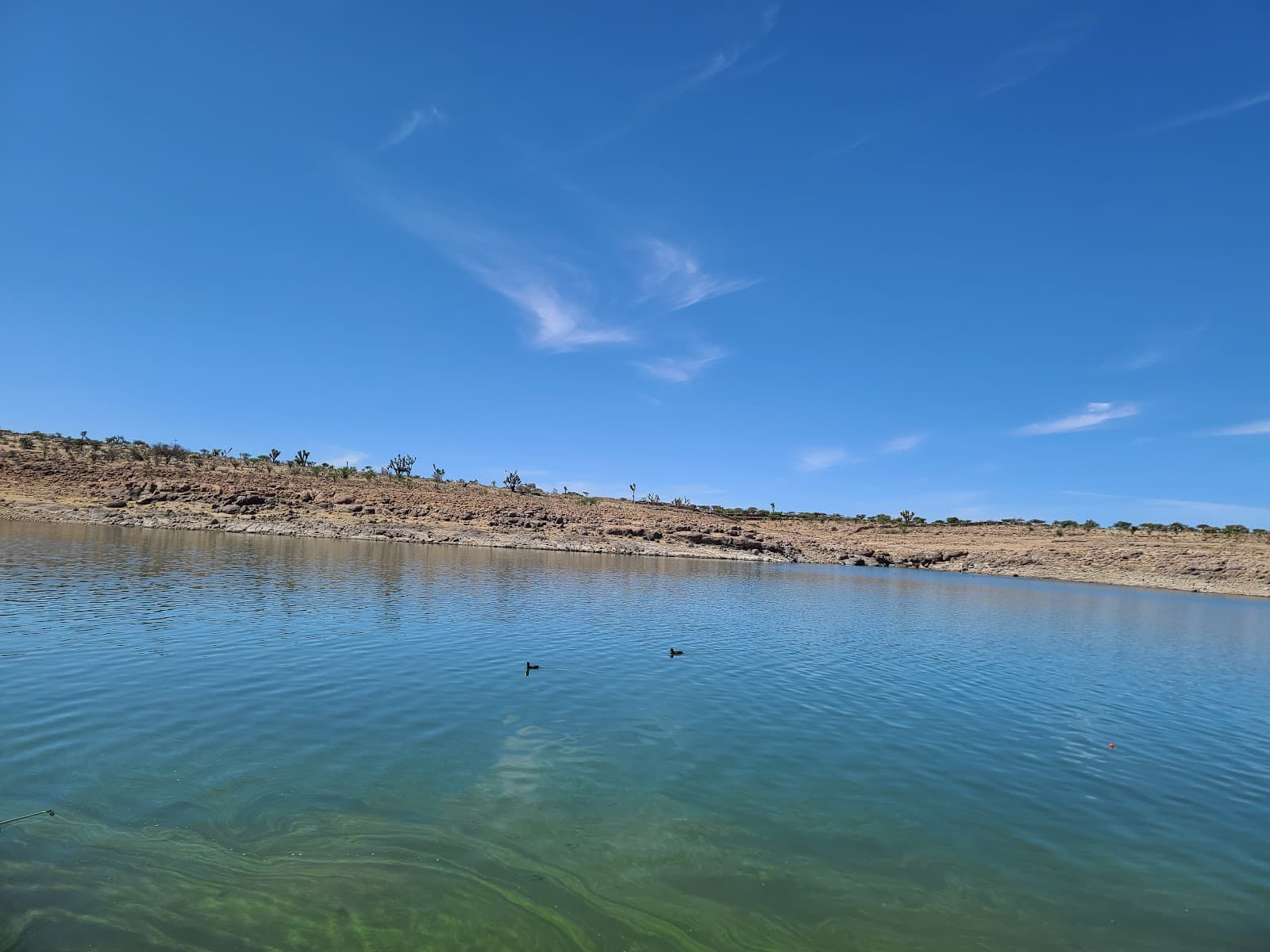 Presa Plutarco Elías Calles - Image 1