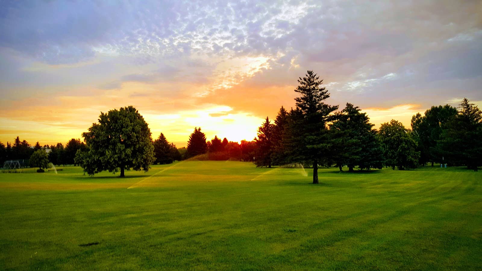 Shelling and Calm Waters
