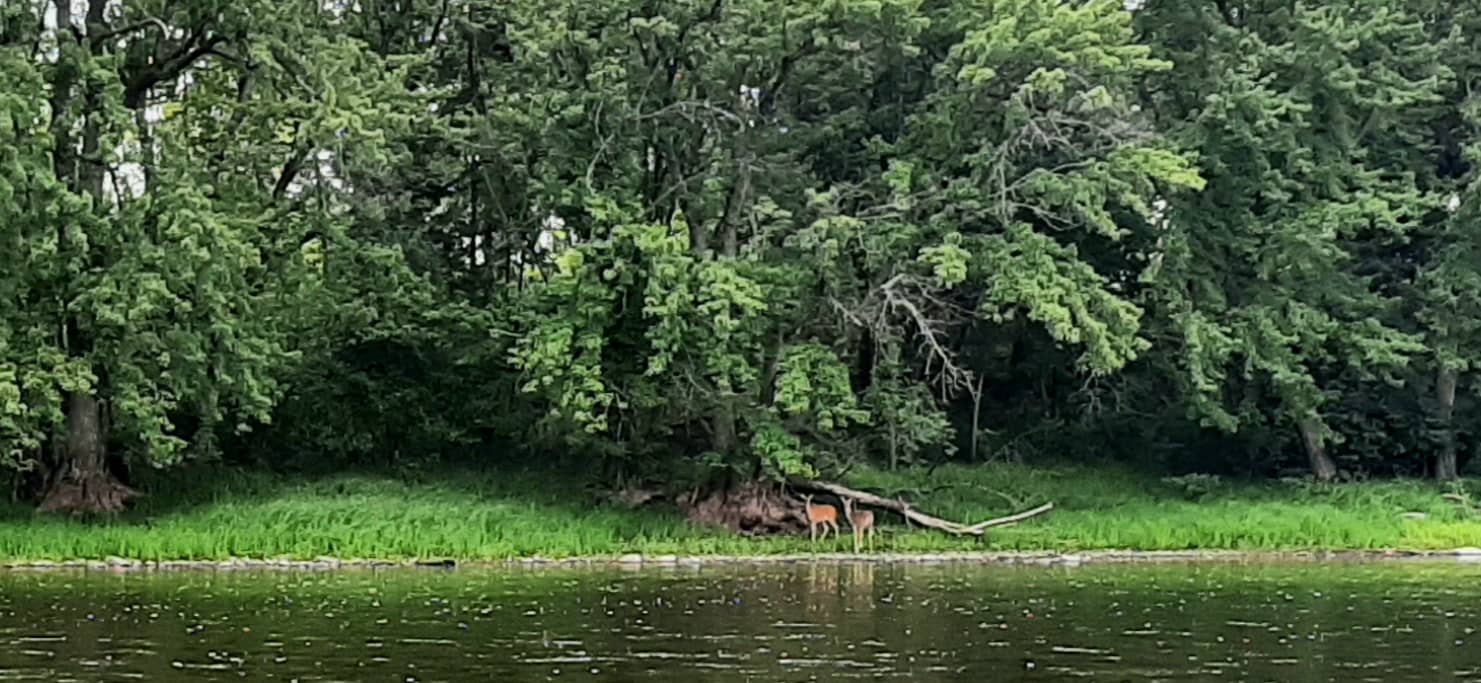 Evening on River Street