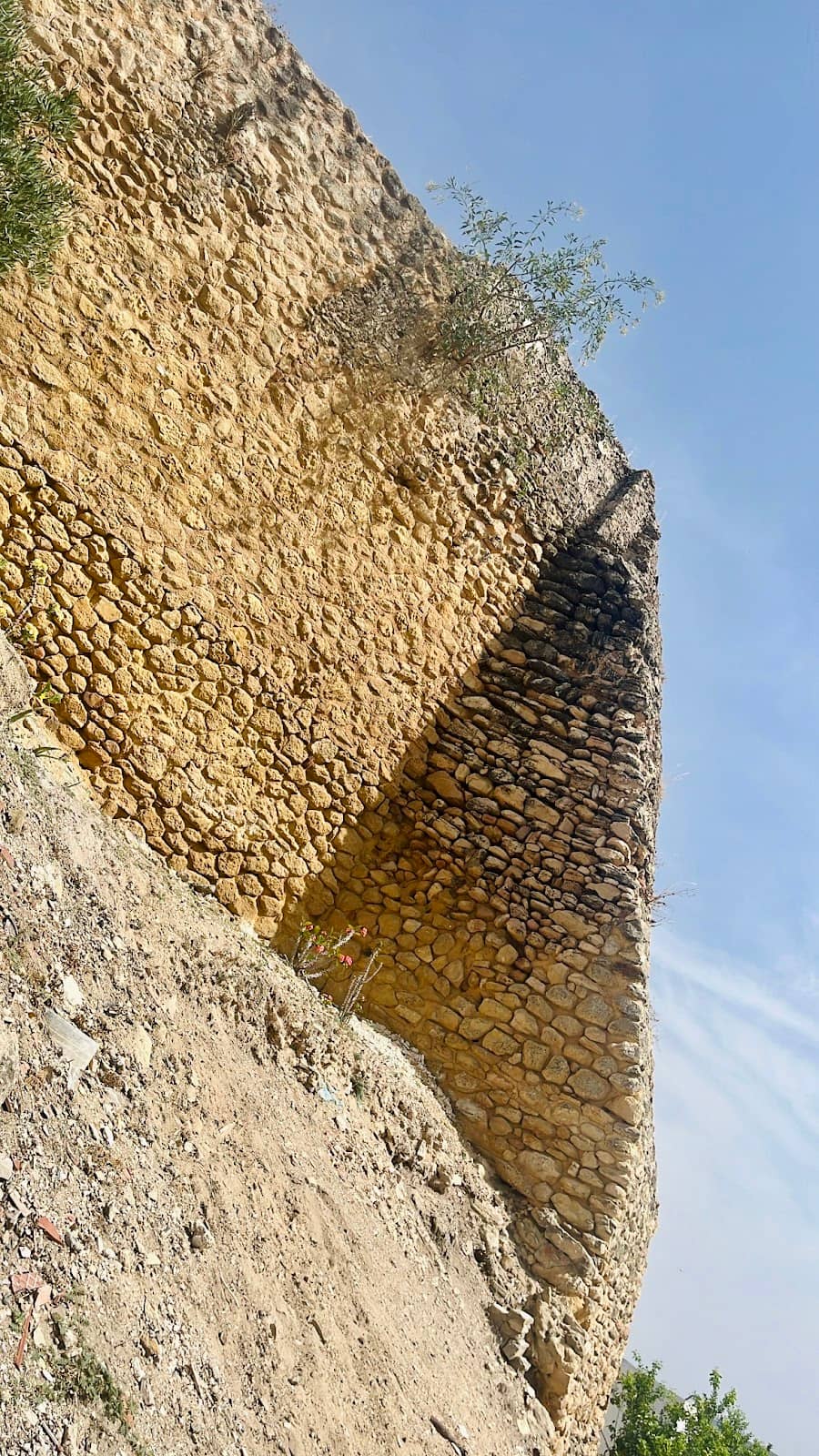 Vertical photo