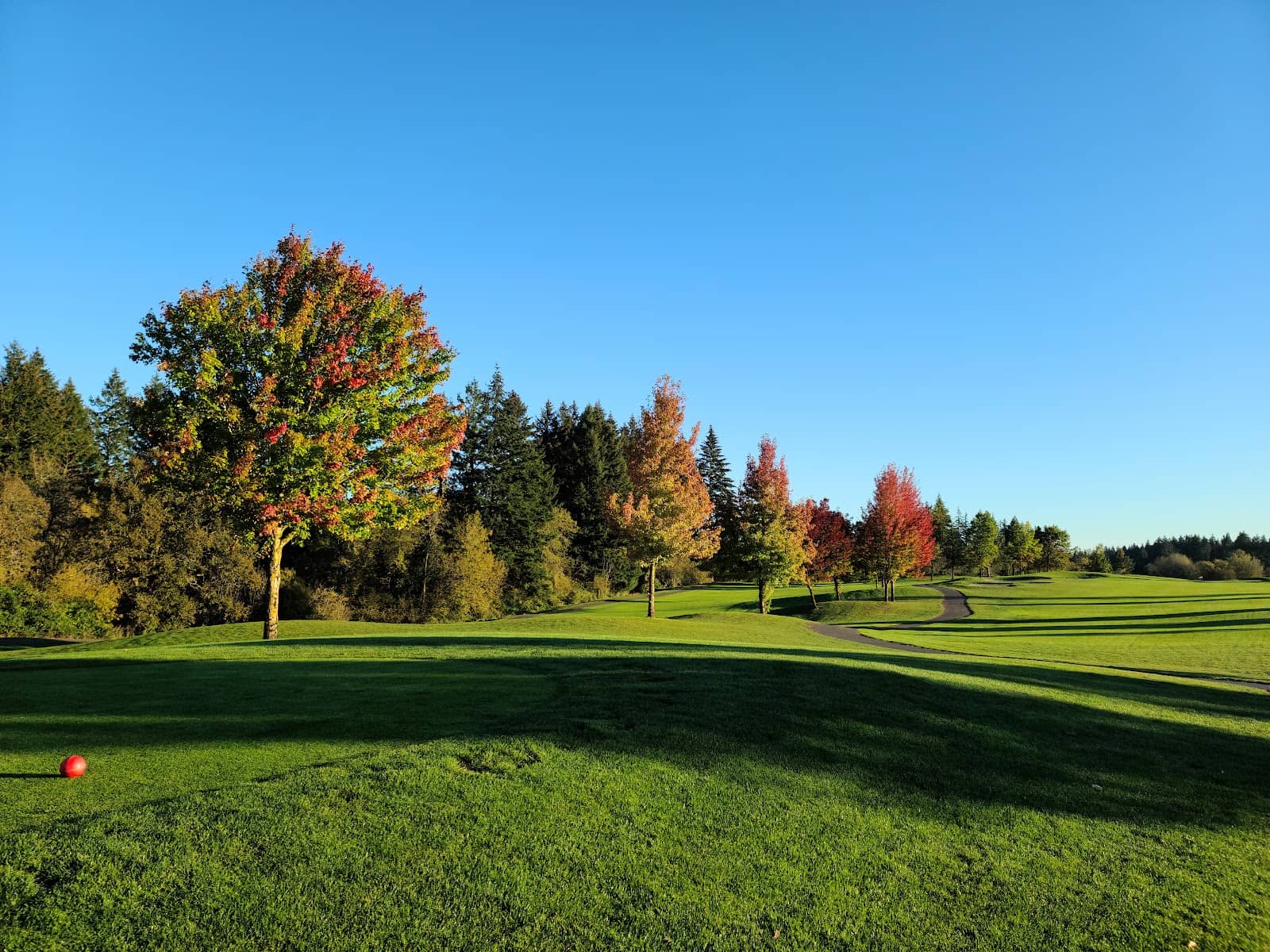 Practice Facilities