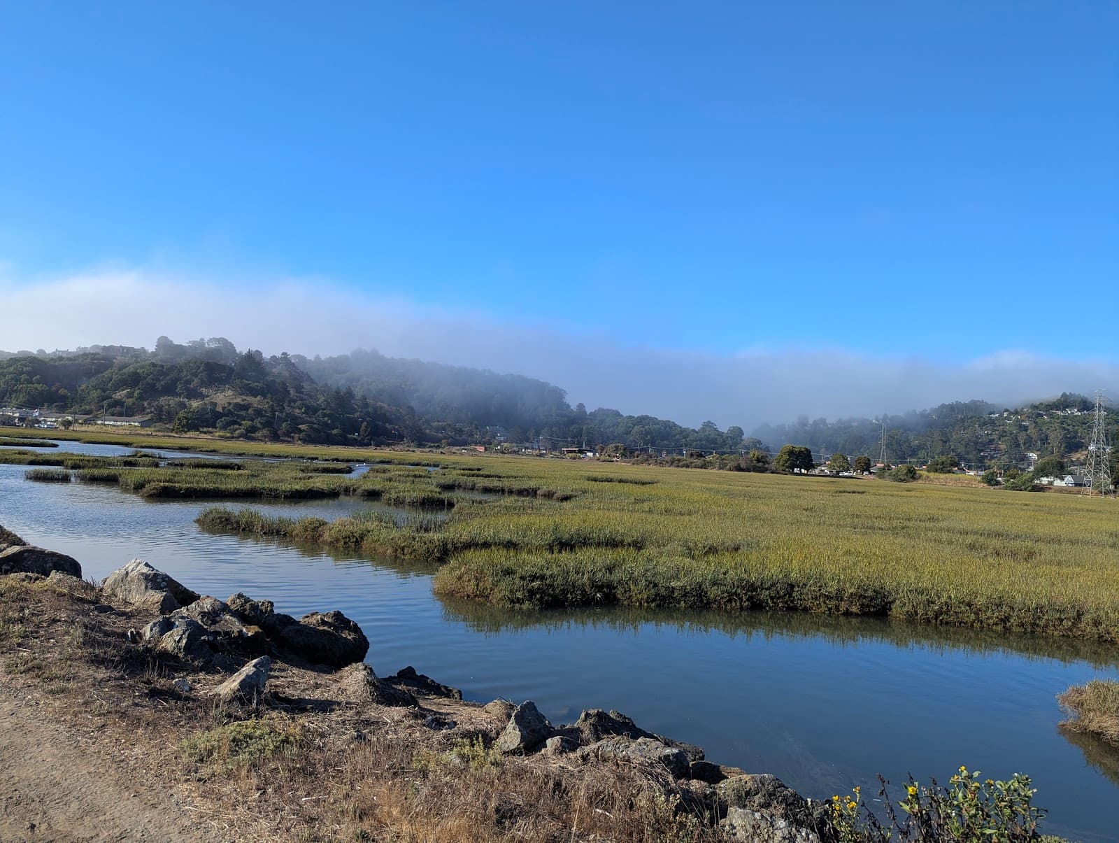 Bothin Marsh Preserve - Image 1