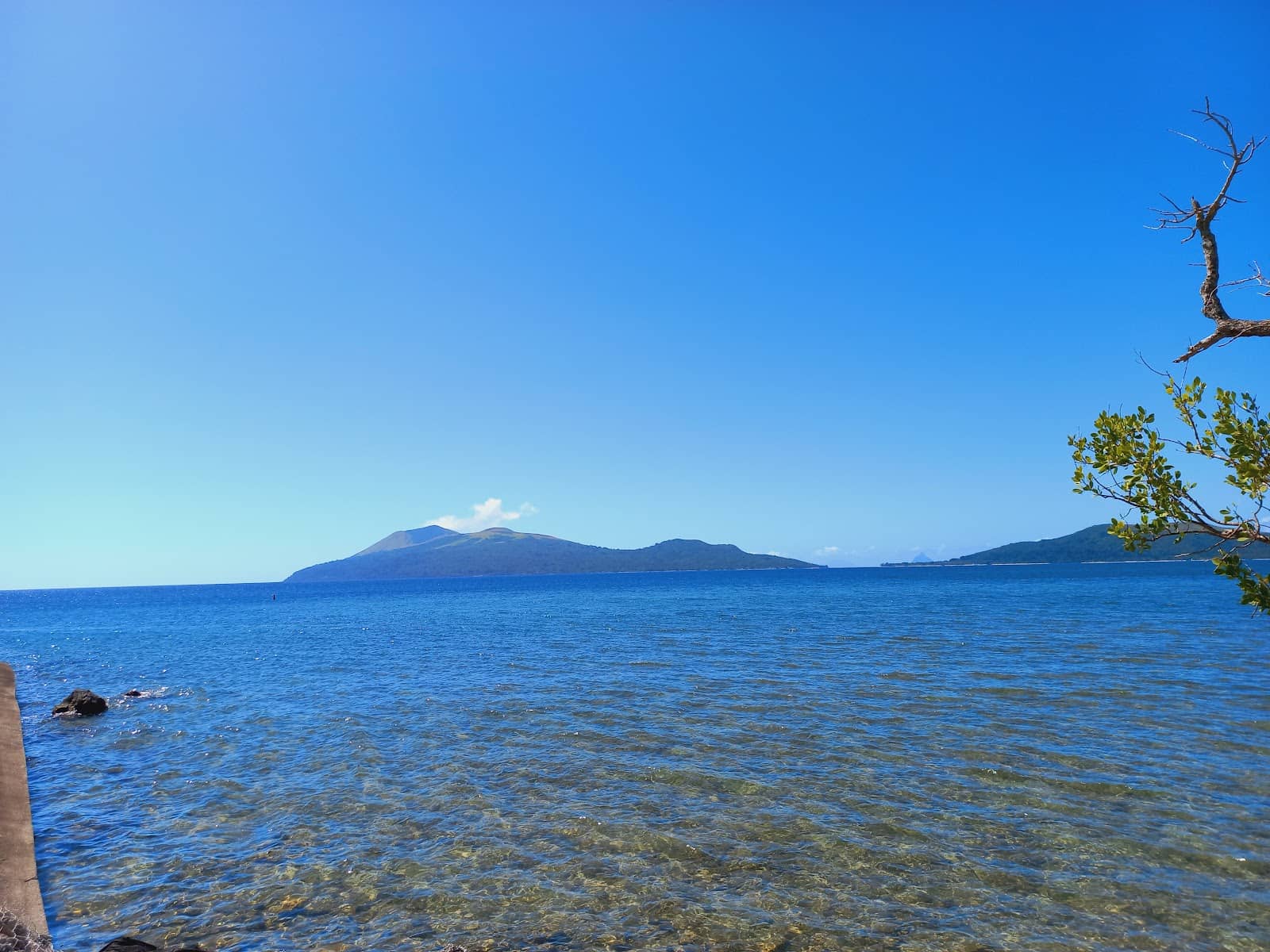 Vertical photo