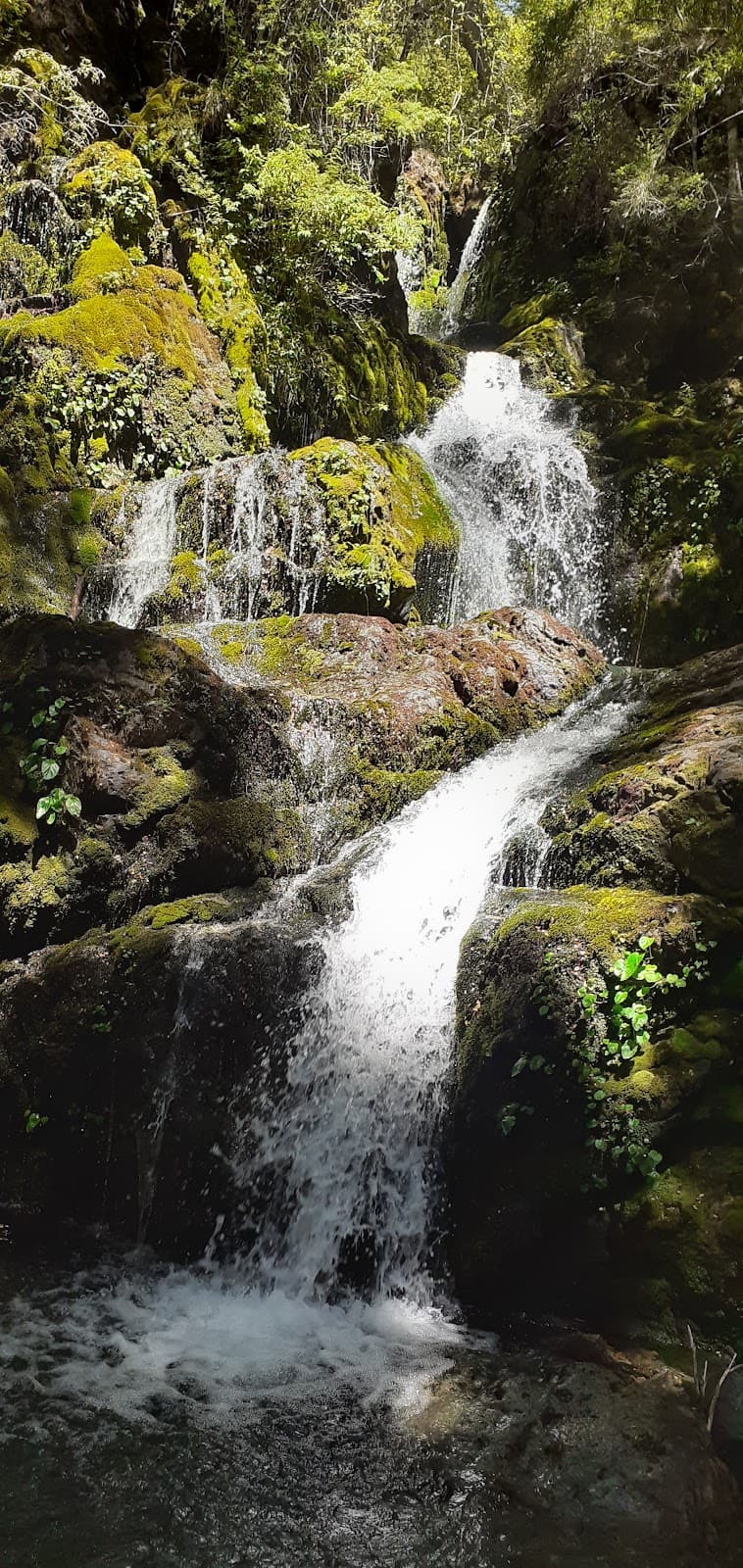Refugio Dedo Gordo - Image 1